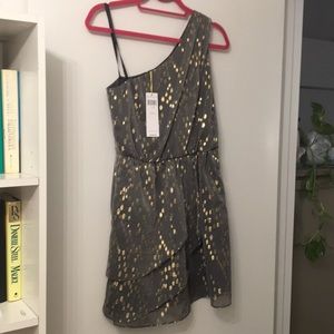 Gray & Gold One Armed Glam Dress